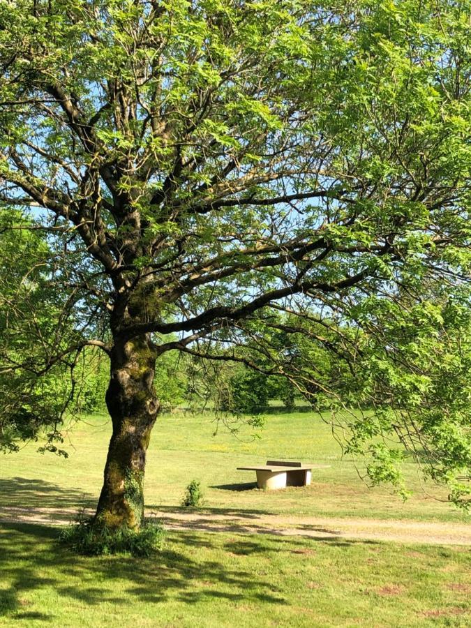 Domaine De Tapies 2 Gites Jusqu A 19 Personnes Cornus エクステリア 写真